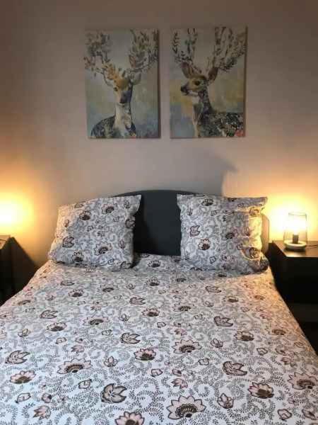 Bel Appartement Hypercentre T3/70 M2 클레르몽페랑 외부 사진
